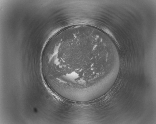 X0000056351088200509232059