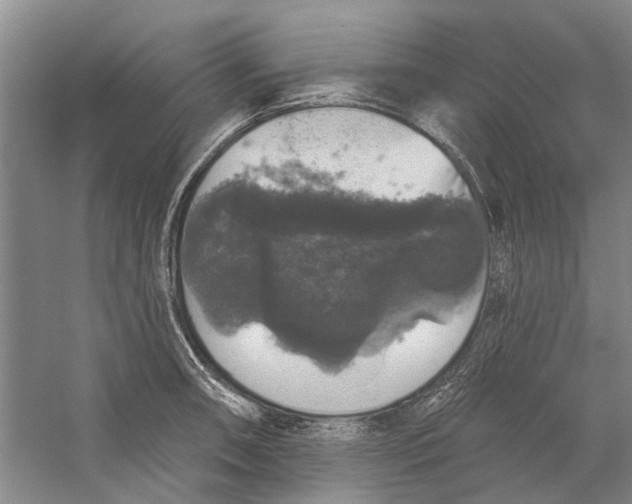 X0000056351090200509232059