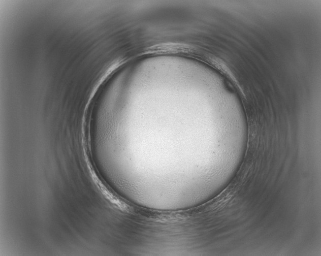 X0000056351091200509232059