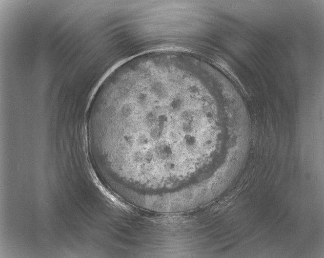 X0000056351092200509232059