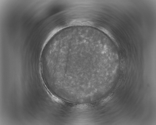 X0000056351094200509232059