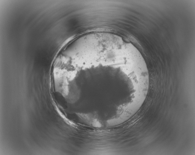 X0000056351095200509232059