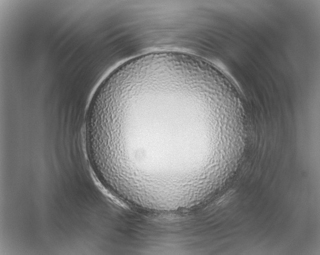 X0000056351100200509232059