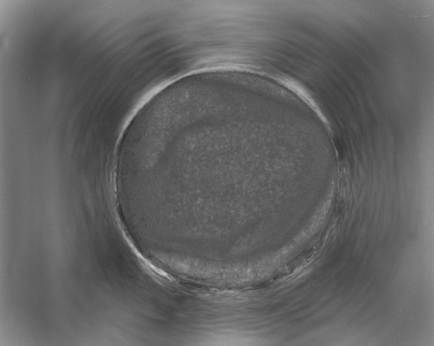 X0000056351101200509232059