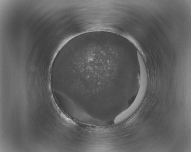 X0000056351102200509232059