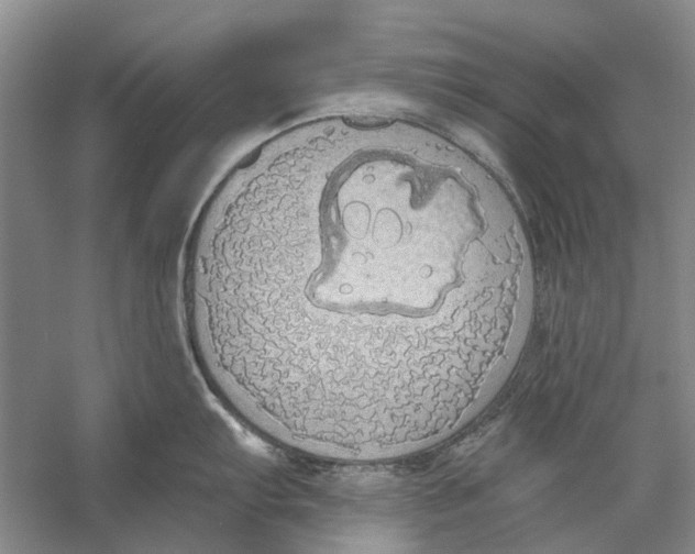 X0000056351103200509232059