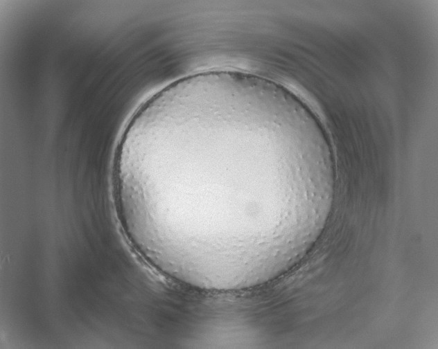 X0000056351104200509232059