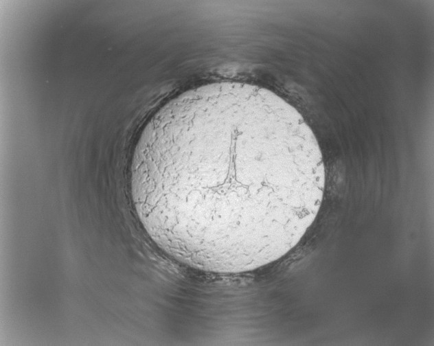 X0000056351105200509232058