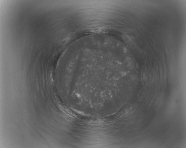 X0000056351106200509232058