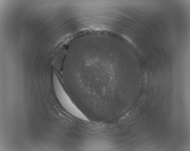 X0000056351110200509232058