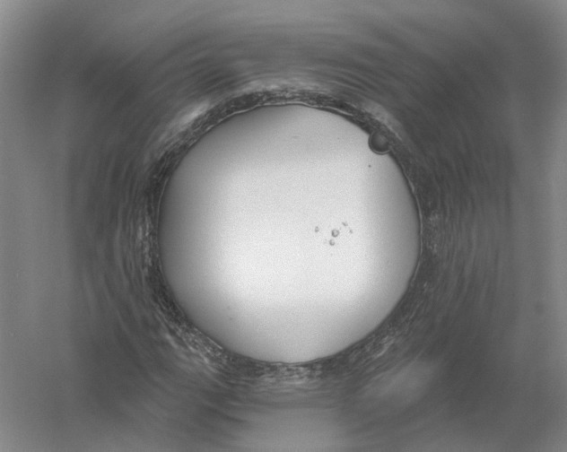 X0000056351111200509232058