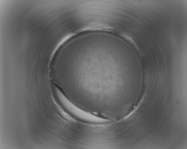 X0000056351114200509232058