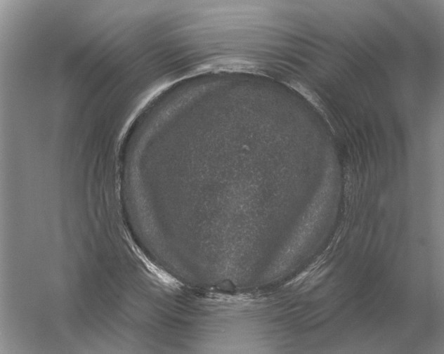 X0000056351115200509232058