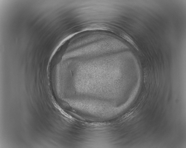 X0000056351116200509232058