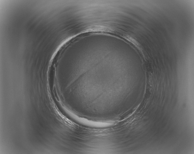 X0000056351120200509232058