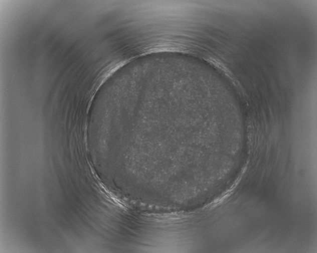 X0000056351121200509232058