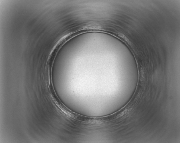 X0000056351123200509232058