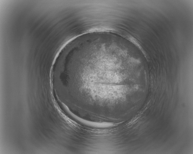 X0000056351124200509232058