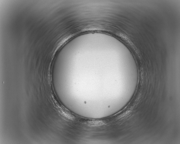 X0000056351129200509232058