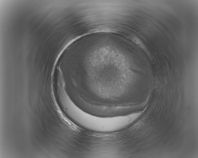 X0000056351132200509232058