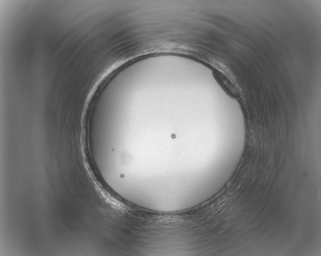 X0000056351136200509232058