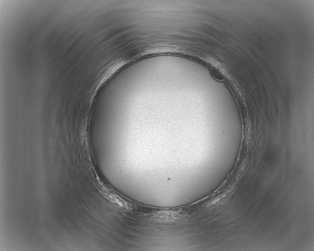 X0000056351137200509232058