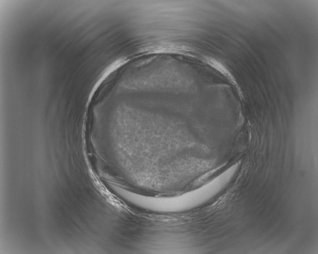 X0000056351138200509232058