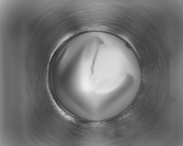 X0000056351139200509232058