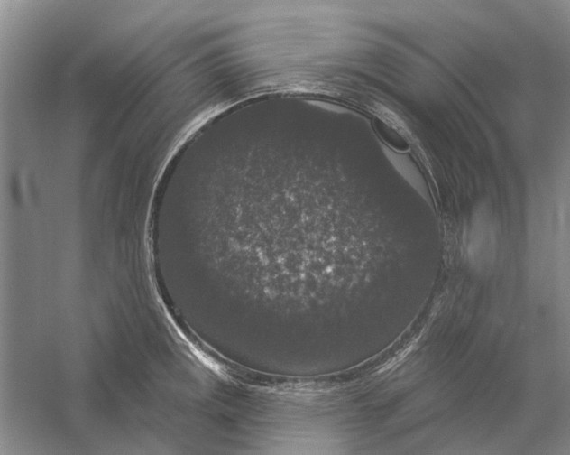 X0000056351141200509232058