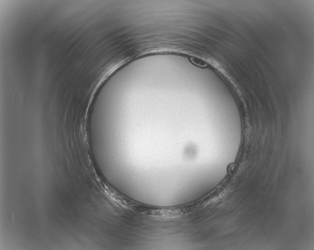 X0000056351145200509232058