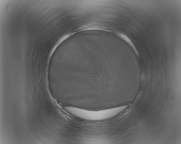 X0000056351146200509232058