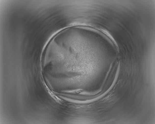 X0000056351148200509232058