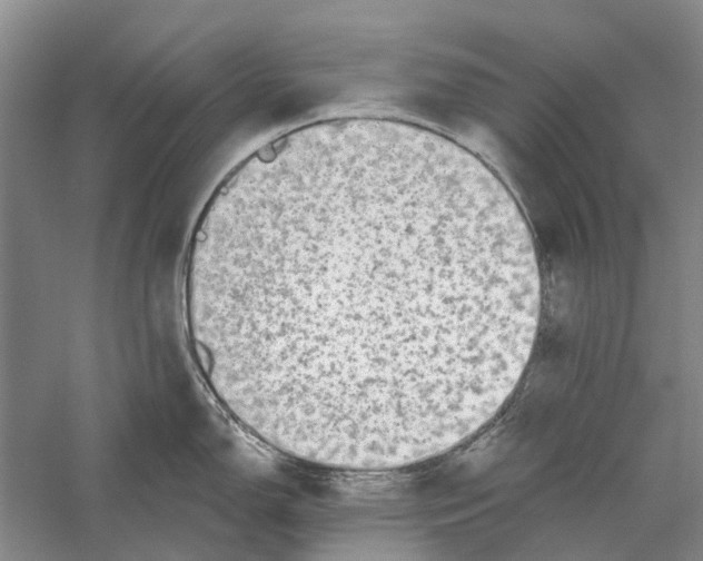 X0000056351150200509232058