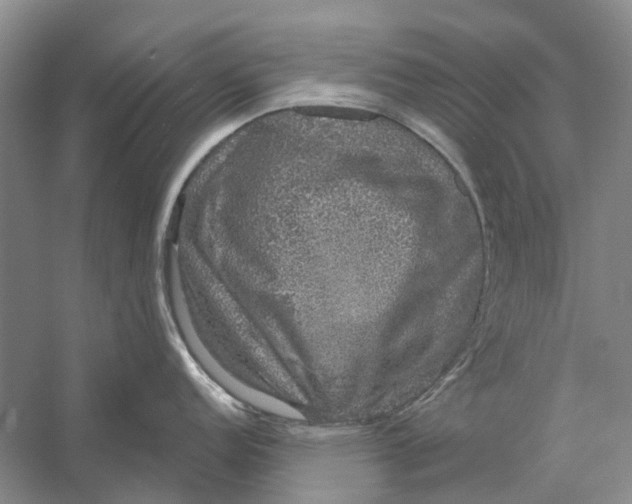 X0000056351152200509232059