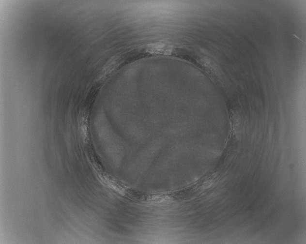 X0000056351154200509232058