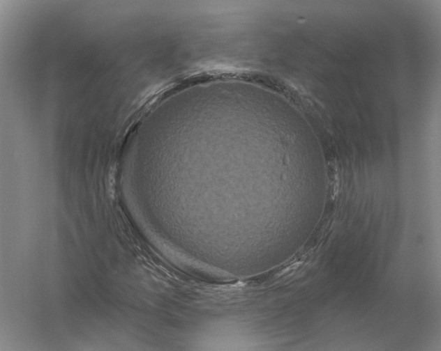 X0000056351157200509232058