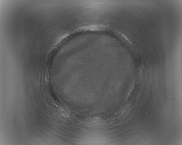 X0000056351158200509232058