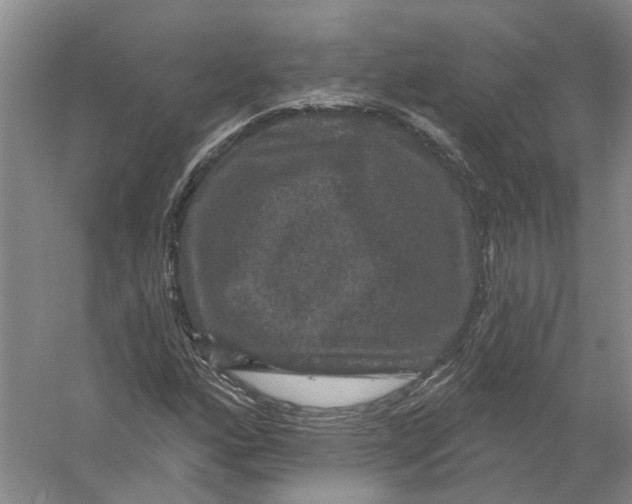 X0000056351160200509232058