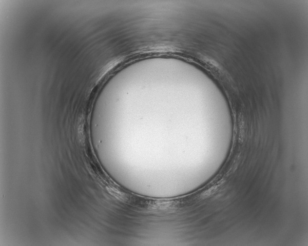 X0000056351162200509232058