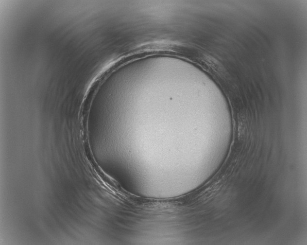 X0000056351164200509232058