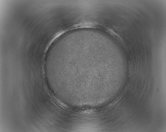 X0000056351166200509232057