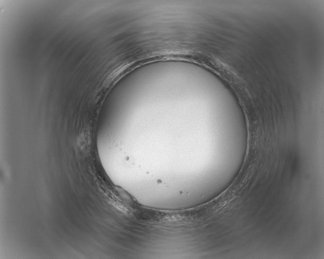 X0000056351169200509232057