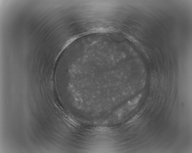 X0000056351170200509232057