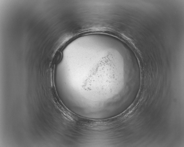 X0000056351171200509232057