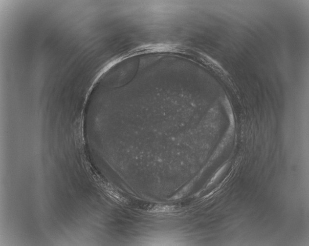 X0000056351174200509232057