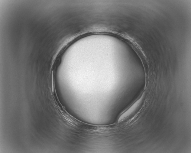 X0000056351175200509232057