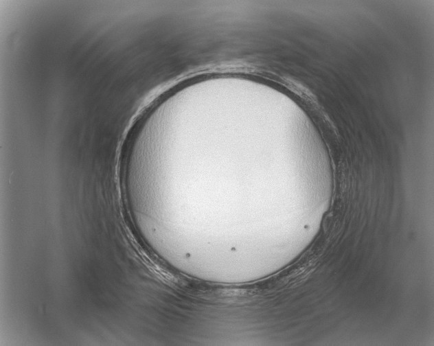 X0000056351176200509232057