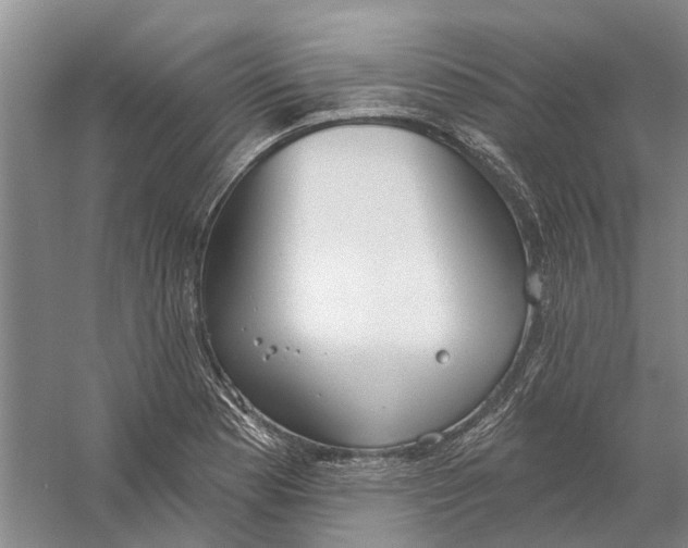 X0000056351177200509232057