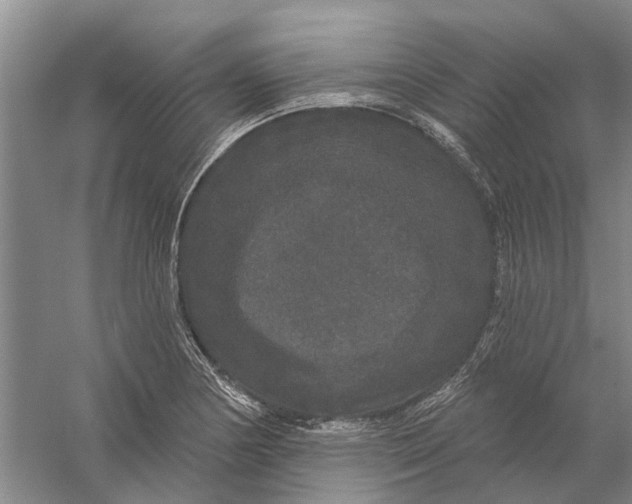 X0000056351178200509232057