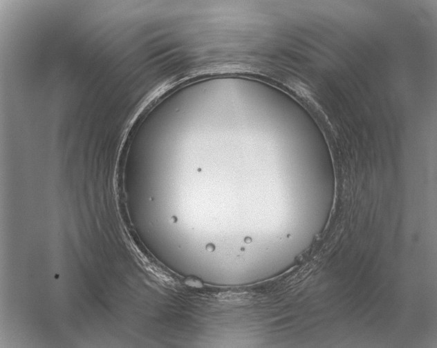 X0000056351181200509232057